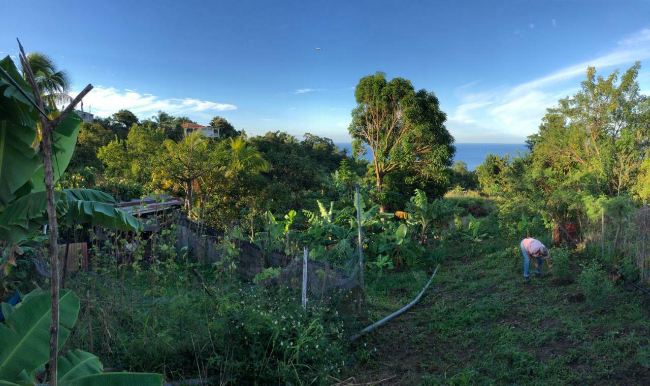 Villa Des Iles Basse-Terre Exterior foto